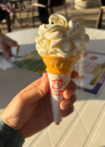 一般的なものと違い、コーンの上にぽふぽふした丸っこいお花のように形作られたソフトクリーム。表面が溶けかけてつやつやしている