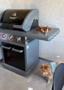 バーベキューグリルのそばで舌をペロリとするぽんか